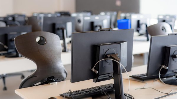 Protéger votre environnement professionnel et vos outils high-tech des nuisibles